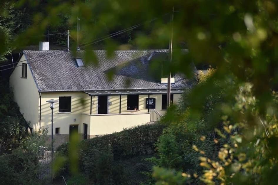 Ferienwohnung Meijer Briedel Eksteriør bilde